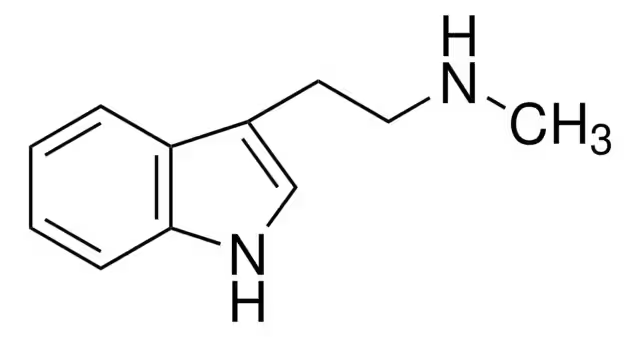 3-(2-Methylaminoethyl)indole structure, CAS 61-49-4