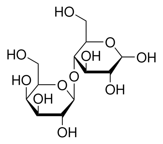 Lactose structure, CAS 63-42-3