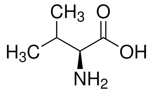 L-Valine structure, CAS 72-18-4