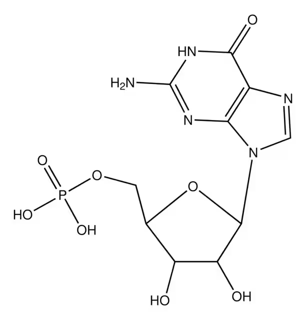 5'-Guanylic acid structure, CAS 85-32-5