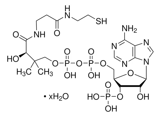 Coenzyme A structure, CAS 85-61-0