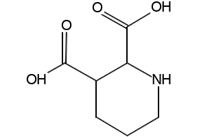 2,5-Dibromopiperidine structure, CAS 46026-75-9