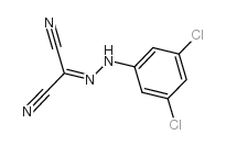 2-[2-(3,5-Dichlorophenyl)hydrazono]malononitrile structure, CAS 3780-83-4
