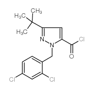 3-(tert-Butyl)-1-(2,4-dichlorobenzyl)-1H-pyrazole-5-carbonyl chloride structure, CAS 306937-15-5
