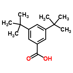 3,5-Ditertbutylbenzoic acid structure, CAS 16225-26-6