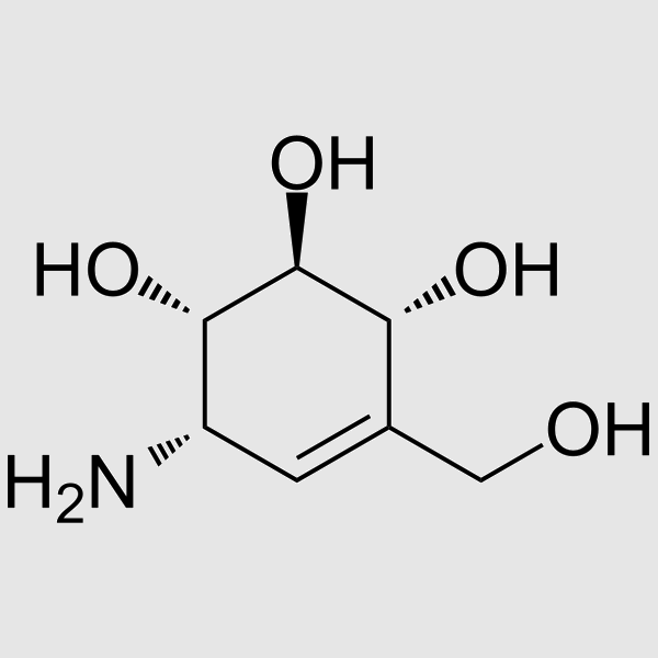 (1S,2S,3R,6S)-6Amino-4-(hydroxymethyl)cyclohex-4-ene-1,2,3-triol hydrochloride structure, CAS 38231-86-6