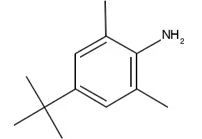 4-(tert-Butyl)-2,6-dimethylaniline structure, CAS 42014-60-8