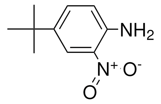 4-(tert-Butyl)-2-nitroaniline structure, CAS 6310-19-6