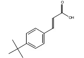 4-(tert-Butyl)cinnamic acid structure, CAS 1208-65-7