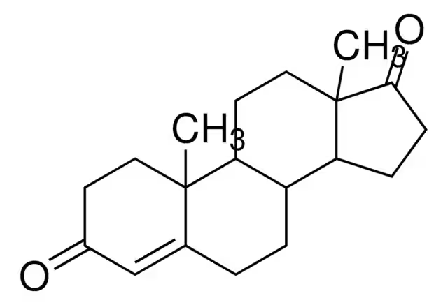 4-Androstenedione structure, CAS 63-05-8