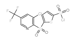 5-[3-Chloro-5-(trifluoromethyl)pyrid-2-ylsulphonyl]thiophene-2-sulphonyl chloride structure, CAS 175203-00-6