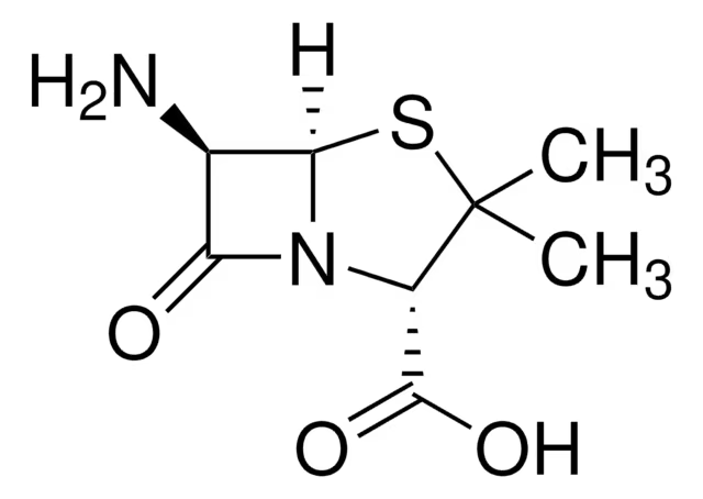 6-APA structure, CAS 551-16-6