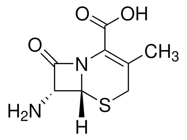 7-ADCA structure, CAS 22252-43-3
