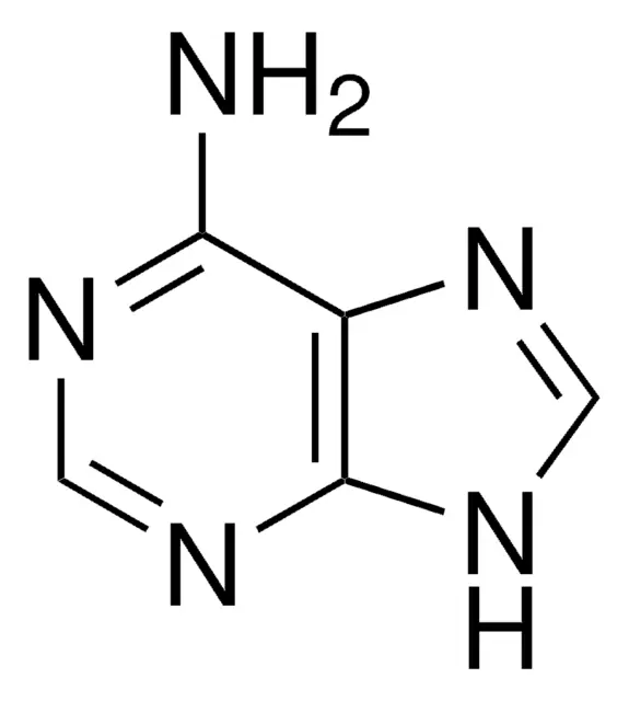 Adenine structure, CAS 73-24-5