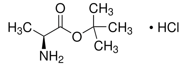H-Ala-OtBu hydrochloride structure, CAS 13404-22-3