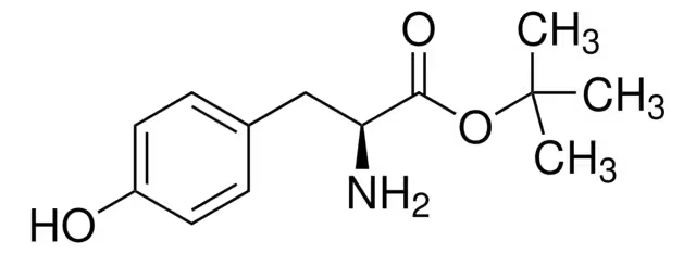 H-Tyr-OtBu structure, CAS 16874-12-7