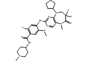 1,4-Difluoro-2-methyl-5-nitrobenzene structure, CAS 141412-60-4