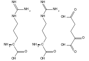 L-Arginine alpha-ketoglutarate(2:1) dihydrate structure, CAS 5256-76-8