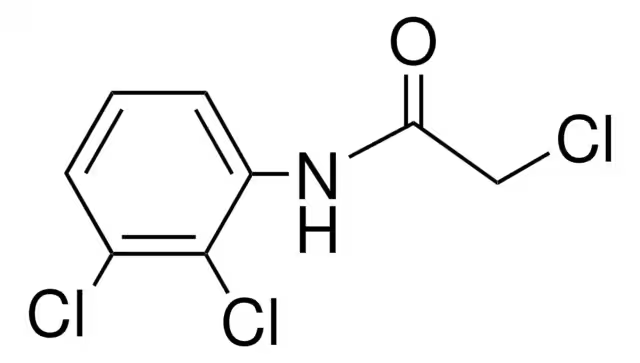 N1-(2,3-Dichlorophenyl)-2-chloroacetamide structure, CAS 33560-47-3