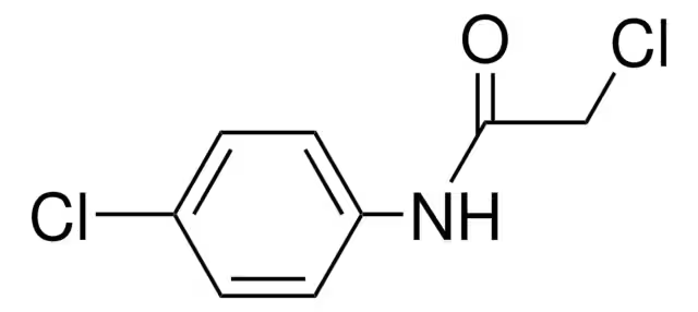 N1-(4-Chlorophenyl)-2-chloroacetamide structure, CAS 3289-75-6