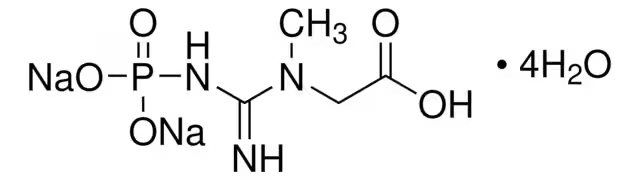 Phospho creatine sodium structure, CAS 67-07-2