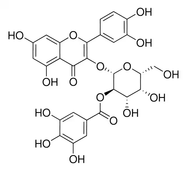 2'-o-Galloylhyperin structure, CAS 53209-27-1