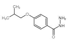 4-Isobutoxybenzohydrazide structure, CAS 91430-26-1