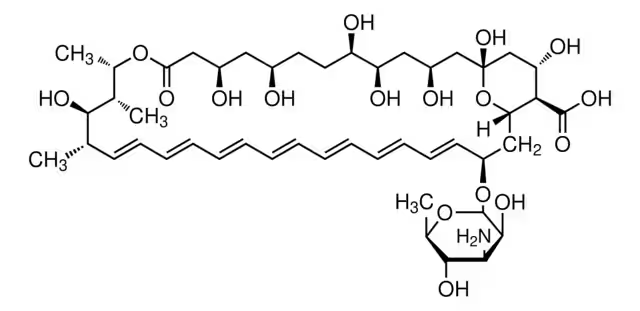 Amphotericin B structure, CAS 1397-89-3