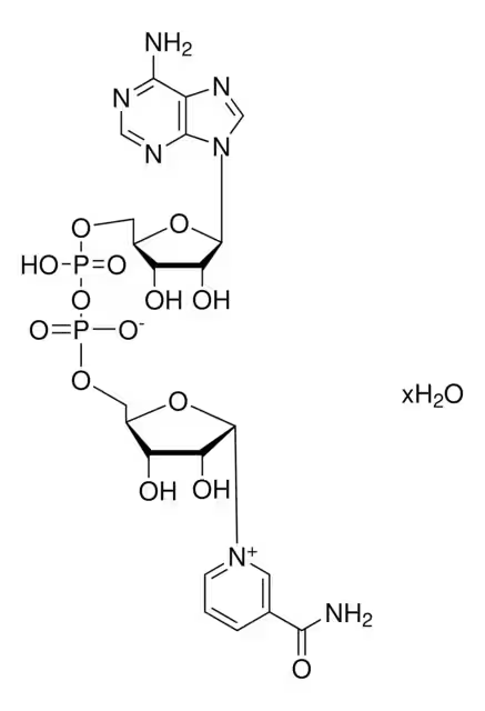 beta-Diphosphopyridine nucleotide structure, CAS 53-84-9