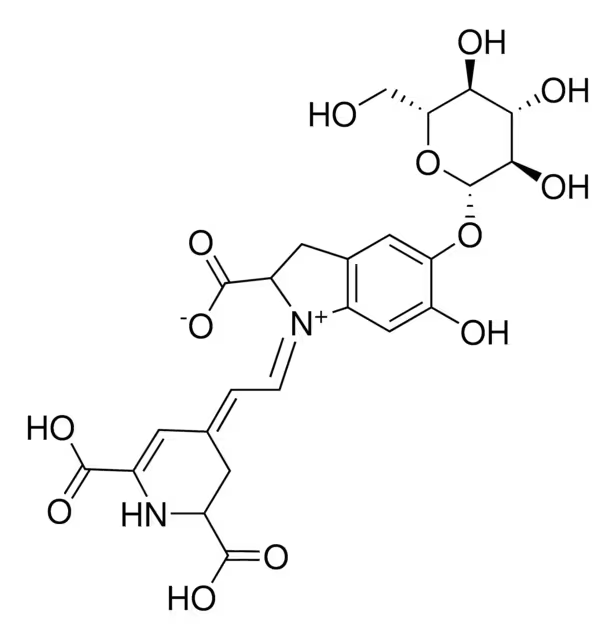 Betanidine structure, CAS 55-73-2