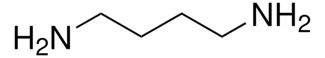 1,4-DIAMINOBUTANE structure, CAS 110-60-1