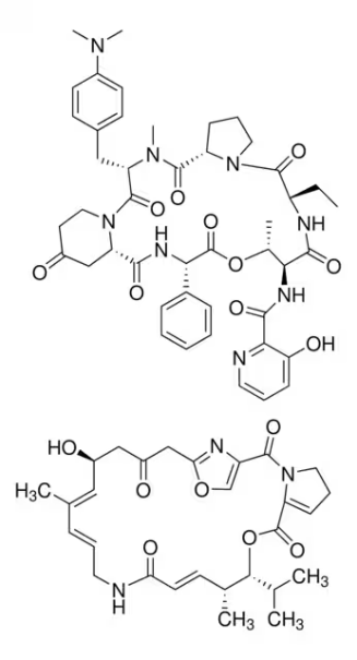 5-(2-Bromo-1-oxobutyl)-8-hydroxy-2(1H)-quinolinone structure, CAS 59827-93-9