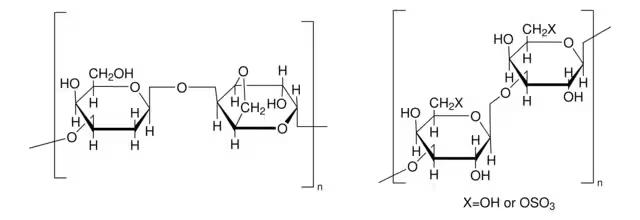 3BETA-HYDROXY-DELTA5-CHOLENIC ACID structure, CAS 5255-17-4