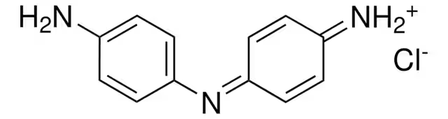ROPIVACAINE RELATED COMPOUND B (50 MG) ((R)-(+)-1 -PROPYLPIPERIDINE-2-CARBOXYLIC ACID (2,6-DIMETHYLPHENYL)-AMIDE HYDROCHLORIDE MONOHYDRATE) structure, CAS 112773-90-7