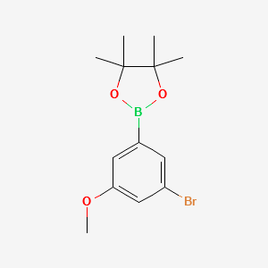 3-BroMo-5-Methoxyphenylboronic acid pinacol ester structure, CAS 401797-04-4