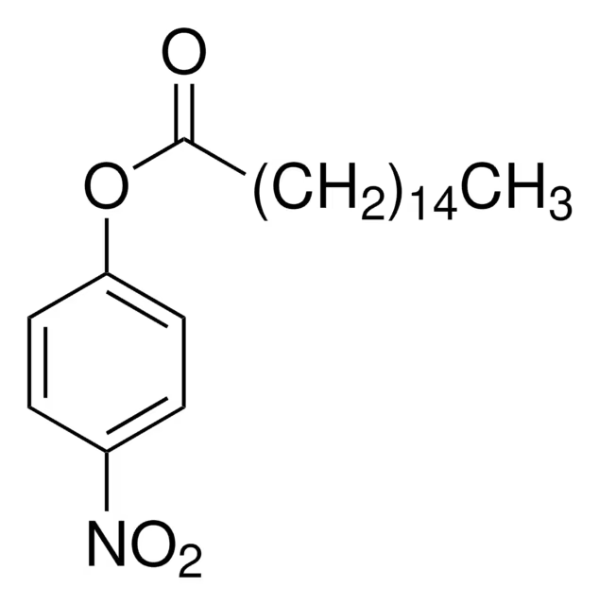 4-nitrophenyl palmitate structure, CAS 1492-30-4
