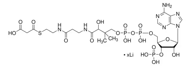 S-(hydrogen malonyl)coenzyme A structure, CAS 524-14-1