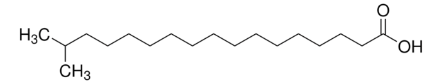 ISOSTEARIC ACID structure, CAS 30399-84-9