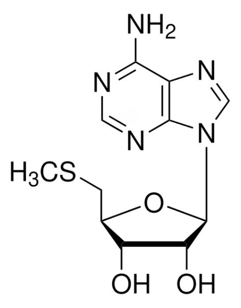 5'-Deoxy-5'-iodoguanosine structure, CAS 68200-68-0