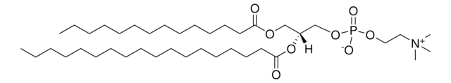 1-myristoyl-2-stearoylphosphatidylcholine structure, CAS 76343-22-1
