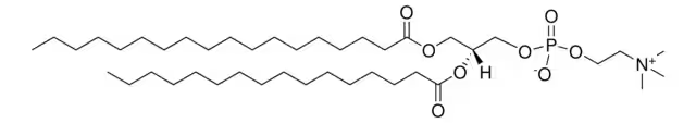 C1-STEAROYL-2-PALMITOYL-SN-GLYCERO-3-PHOSPHOCHOLINE structure, CAS 59403-53-1