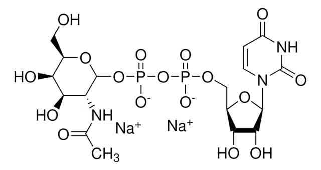 UDP-ALPHA-D-N-ACETYLGALACTOSAMINE, DISODIUM SALT structure, CAS 108320-87-2