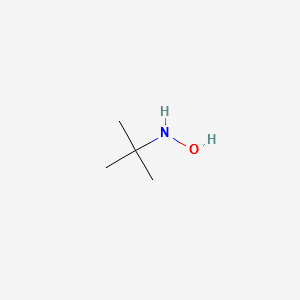 N-tert-butylhydroxylamine structure, CAS 16649-50-6