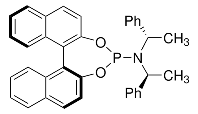 (11bR)-N,N-Bis[(S)-1-phenylethyl]-dinaphtho[2,1-d:1',2'-f][1,3,2]dioxaphosphepin-4-amine structure, CAS 209482-28-0
