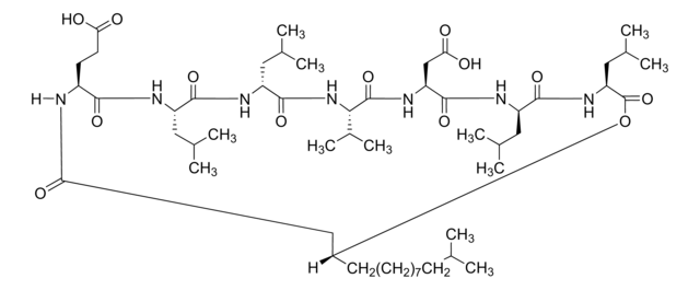 SURFACTIN structure, CAS 24730-31-2