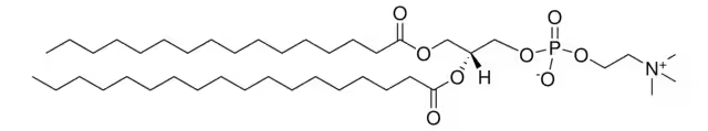 Phosphatidylcholines, egg, hydrogenated structure, CAS 97281-45-3