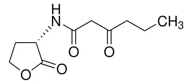 2-(9-bromononyl)-1,3-dioxolane structure, CAS 59014-60-7