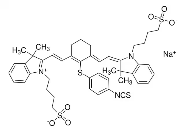 NIR-797-isothiocyanat structure, CAS 152111-91-6