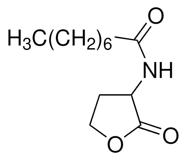 N-OCTANOYL-DL-HOMOSERINE LACTONE structure, CAS 106983-30-6