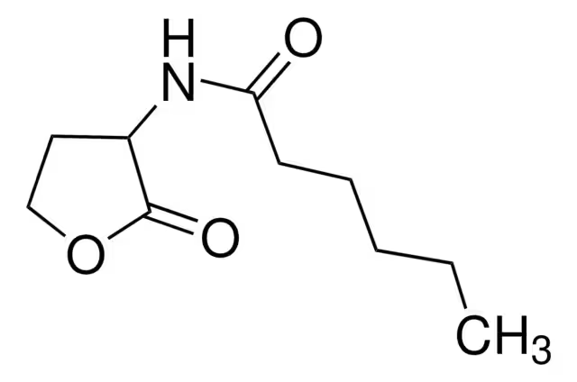 N-CAPROYL-L-HOMOSERINE LACTONE structure, CAS 106983-28-2